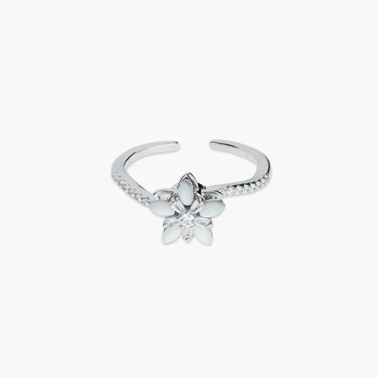 Product image [071-10.jpg]