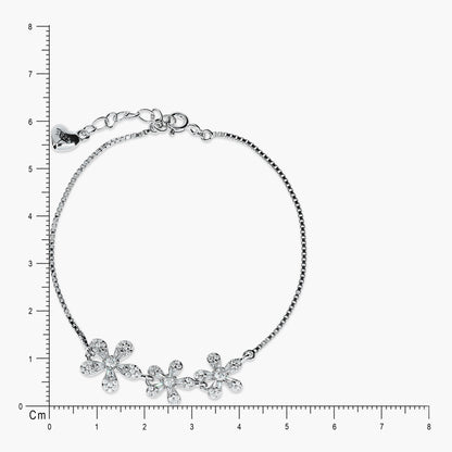 Product image [124-7.jpg]