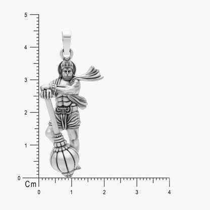 Product image [50-4-1.jpg]